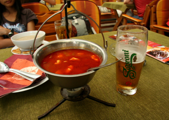 gulasch and beer in hungary.JPG